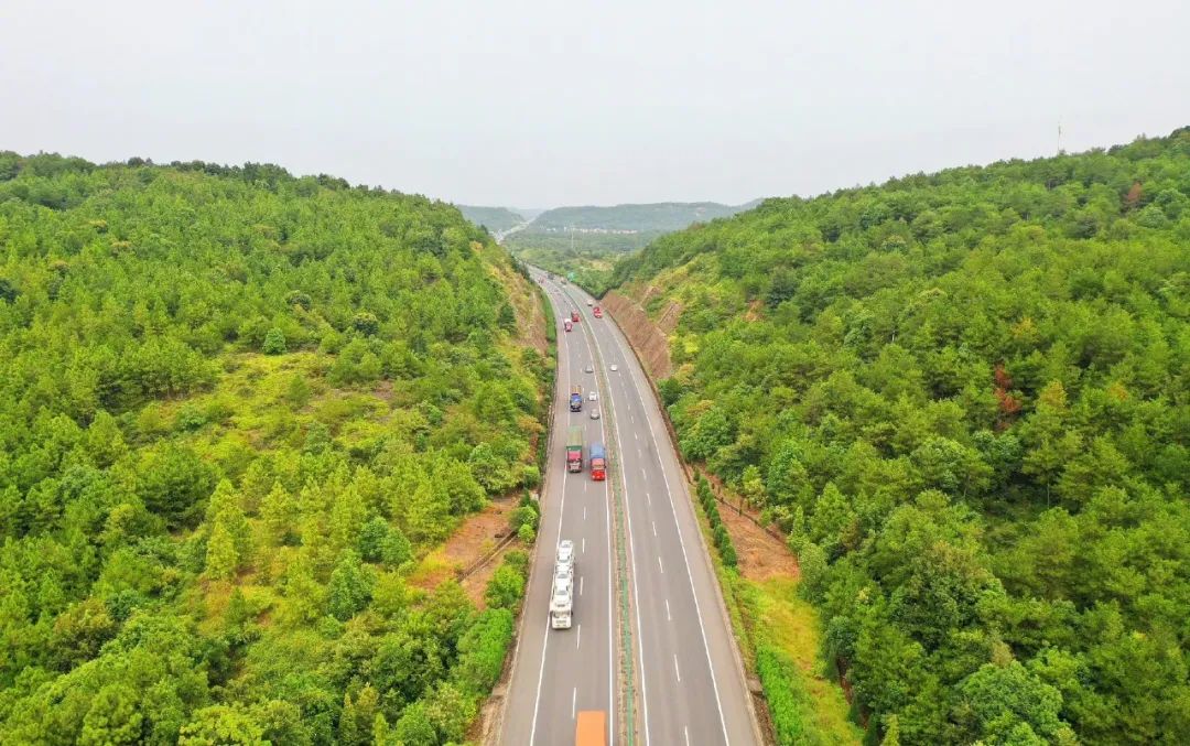 64642e74f1923.jpg 7.jpg